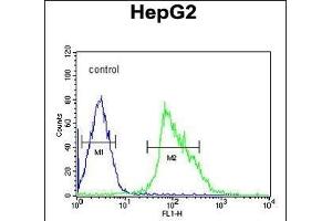 Flow Cytometry (FACS) image for anti-Ubiquitin Specific Peptidase 17-Like Family Member 24 (USP17L24) (AA 496-524), (C-Term) antibody (ABIN651682)