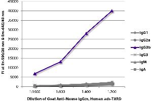 FLISA plate was coated with purified mouse IgG1, IgG2a, IgG2b, IgG3, IgM, and IgA. (Chèvre anti-Souris IgG2b (Heavy Chain) Anticorps (Texas Red (TR)))