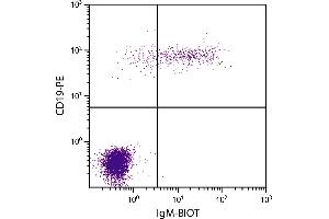 Human peripheral blood lymphocytes were stained with Mouse Anti-Human IgM-BIOT. (Souris anti-Humain IgM Anticorps (Biotin))