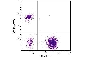 Human peripheral blood lymphocytes were stained with Mouse Anti-Human CD19-AF700. (CD19 anticorps  (APC-Cy5.5))