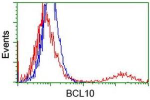HEK293T cells transfected with either RC208752 overexpress plasmid (Red) or empty vector control plasmid (Blue) were immunostained by anti-BCL10 antibody (ABIN2454087), and then analyzed by flow cytometry. (BCL10 anticorps)