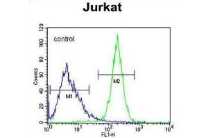 Flow Cytometry (FACS) image for anti-CWC22 Spliceosome-Associated Protein Homolog (CWC22) antibody (ABIN2995841) (CWC22 anticorps)