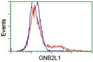 HEK293T cells transfected with either RC205092 overexpress plasmid (Red) or empty vector control plasmid (Blue) were immunostained by anti-GNB2L1 antibody (ABIN2454454), and then analyzed by flow cytometry. (GNB2L1 anticorps)