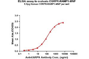 Elisa plates were pre-coated with 0. (CALCRL Protéine)