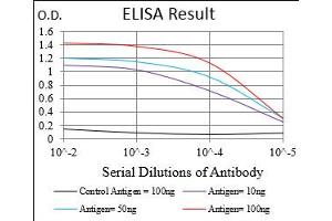 Fig. (PPARGC1B anticorps  (AA 195-414))