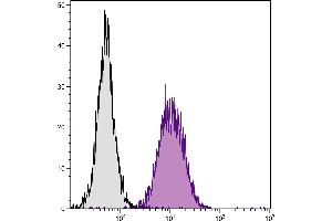 C57BL/6 mouse splenocytes were stained with Mouse Anti-Mouse H-2Db-FITC. (H2-D1 anticorps)