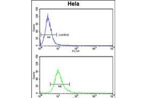 Flow cytometry analysis of Hela cells (bottom histogram) compared to a negative control cell (top histogram). (PCAT1 anticorps  (C-Term))