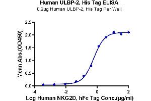 ELISA image for UL16 Binding Protein 2 (ULBP2) (AA 26-217) protein (His-Avi Tag) (ABIN7275815)