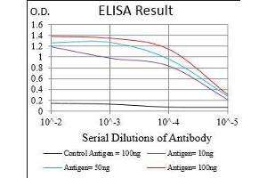 Black line: Control Antigen (100 ng), Purple line: Antigen(10 ng), Blue line: Antigen (50 ng), Red line: Antigen (100 ng), (CD36 anticorps  (AA 30-130))