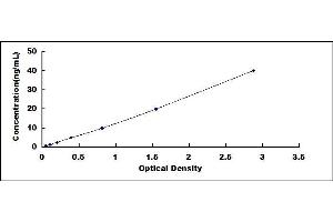 Typical standard curve (G Protein Coupled Receptor 131 Kit ELISA)