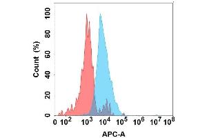 Flow cytometry analysis with Anti-IG on Expi293 cells transfected with human IG (Blue histogram) or Expi293 transfected with irrelevant protein (Red histogram). (IGFBP7 anticorps)