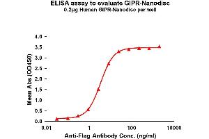 Elisa plates were pre-coated with Flag Tag GIPR-Nanodisc (0. (GIPR Protéine)