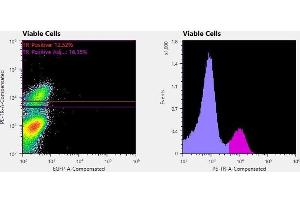 Flowcytometry of huSSECTM cell line overexpressing hFcRn-EGFP labeled with clone ADM31  primary Ab and Texas Red™ conjugated anti-mouse secondary. (FcRn anticorps)