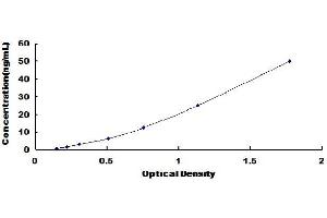 Typical Standard Curve (GAD Kit ELISA)