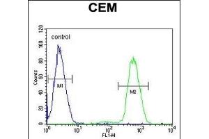 NFKBIL1 Antibody (Center) (ABIN654639 and ABIN2844336) flow cytometric analysis of CEM cells (right histogram) compared to a negative control cell (left histogram). (NFKBIL1 anticorps  (AA 256-285))