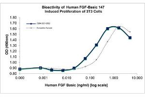 SDS-PAGE of Human Fibroblast Growth Factor 147 basic Recombinant Protein Bioactivity of Human Fibroblast Growth Factor 147 basic Recombinant Protein. (FGF2 Protéine)