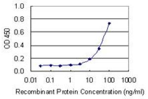 Detection limit for recombinant GST tagged NOS3 is 3 ng/ml as a capture antibody. (ENOS anticorps  (AA 61-160))