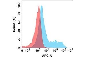 Flow cytometry analysis with Anti-CD114 (DM172) on Expi293 cells transfected with human CD114 (Blue histogram) or Expi293 transfected with irrelevant protein (Red histogram). (CSF3R anticorps  (AA 25-622))