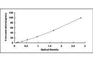 ELISA image for Glycoprotein Ib (Platelet), alpha Polypeptide (GP1BA) ELISA Kit (ABIN417579) (CD42b Kit ELISA)