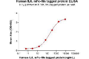 ELISA image for Interleukin 6 (IL6) (AA 30-212) protein (mFc-His Tag) (ABIN6961105)