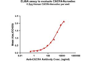 Elisa plates were pre-coated with Flag Tag C-Nanodisc (0. (CXCR4 Protéine)