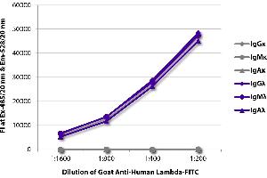 FLISA plate was coated with purified human IgGκ, IgMκ, IgAκ, IgGλ, IgMλ, and IgAλ. (Chèvre anti-Humain Ig (Chain lambda) Anticorps (Texas Red (TR)))