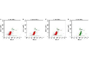 FACS analysis of MNPs A. (CCR8 Protéine)