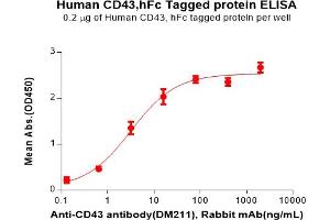 ELISA plate pre-coated by 2 μg/mL (100 μL/well) Human CD43 Protein, hFc Tag(ABIN6964395, ABIN7042521 and ABIN7042522) can bind Anti-CD43 antibody(DM211), Rabbit mAb in a linear range of 0. (CD43 Protein (AA 20-253) (Fc Tag))