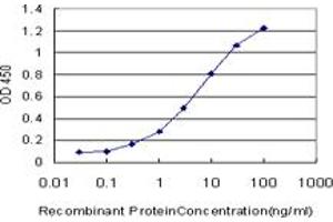 Detection limit for recombinant GST tagged GCM1 is approximately 0. (GCM1 anticorps  (AA 108-166))