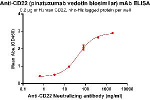 ELISA plate pre-coated by 2 μg/mL (100 μL/well) Human CD22, hFc-His tagged protein (ABIN6961078, ABIN7042185 and ABIN7042186) can bind Anti-CD22 Neutralizing antibody in a linear range of 3. (Recombinant CD22 (Pinatuzumab Biosimilar) anticorps)