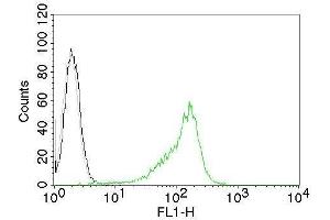 Flow Cytometric Analysis of human Nucleolin on 293T cells. (Nucleolin anticorps  (CF®488A))