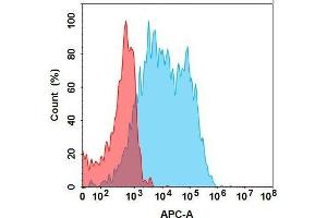 F protein is highly expressed on the surface of Expi293 cell membrane. (FOLR1 (Mirvetuximab Biosimilar) anticorps  (Glu239Asp-Mutant, Met241Leu-Mutant))