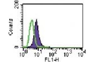 Image no. 1 for anti-Toll-Like Receptor 6 (TLR6) (AA 408-424) antibody (ABIN208047) (TLR6 anticorps  (AA 408-424))