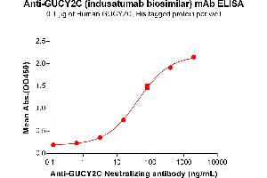 ELISA plate pre-coated by 1 μg/mL (100 μL/well) Human GC protein, His Tag ABIN7092686, ABIN7272328 and ABIN7272329 can bind Anti-GC Neutralizing antibody (ABIN7093082 and ABIN7272612) in a linear range of 3. (Recombinant GUCY2C (Indusatumab Biosimilar) anticorps)