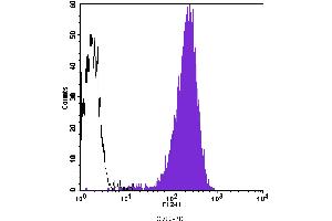 Flow Cytometry (FACS) image for anti-Membrane Metallo-Endopeptidase (MME) antibody (PE) (ABIN2144775) (MME anticorps  (PE))