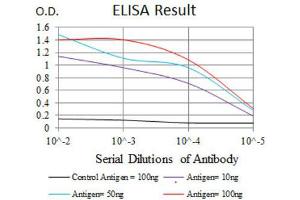 Red: Control Antigen (100ng) ; Purple: Antigen (10ng) ; Green: Antigen (50ng) ; Blue: Antigen (100ng). (RAP1A anticorps)