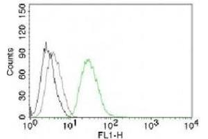 Flow Cytometry (FACS) image for anti-Ornithine Decarboxylase 1 (ODC1) antibody (ABIN3026477)