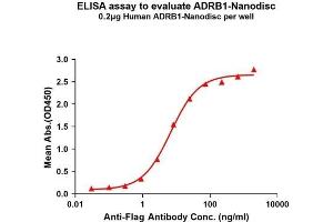 Elisa plates were pre-coated with Flag Tag A-Nanodisc (0. (ADRB1 Protéine)