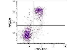 BALB/c mouse splenocytes were stained with Rat  Anti-Mouse CD90-PE. (CD90 anticorps)