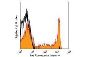 Flow Cytometry (FACS) image for anti-CD8 (CD8) antibody (PerCP) (ABIN2659879) (CD8 anticorps  (PerCP))