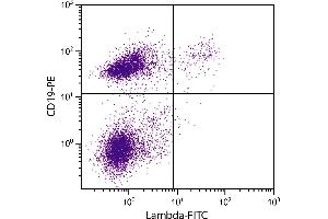 C57BL/6 mouse splenocytes were stained with Rat Anti-Mouse Lambda-FITC. (Rat anti-Souris lambda Anticorps (FITC))
