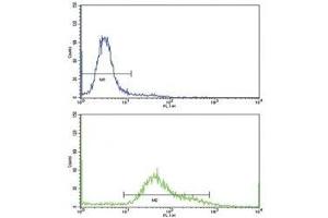 Flow cytometric analysis of HeLa cells using CD71 antibody (bottom histogram) compared to a negative control (top histogram). (Transferrin Receptor anticorps  (AA 649-677))