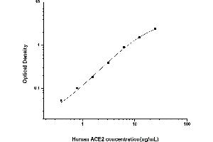 Typical standard curve (ACE2 Kit ELISA)