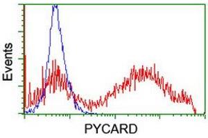 Image no. 2 for anti-PYD and CARD Domain Containing (PYCARD) antibody (ABIN1500519) (PYCARD anticorps)