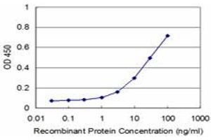 Detection limit for recombinant GST tagged RHOA is approximately 3ng/ml as a capture antibody. (RHOA anticorps  (AA 1-193))