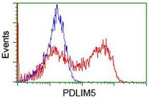 HEK293T cells transfected with either RC200592 overexpress plasmid (Red) or empty vector control plasmid (Blue) were immunostained by anti-PDLIM5 antibody (ABIN2455650), and then analyzed by flow cytometry. (PDLIM5 anticorps)