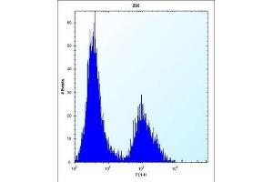 Flow Cytometry (FACS) image for anti-Claudin 2 (CLDN2) antibody (ABIN2996860) (Claudin 2 anticorps)