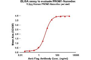Elisa plates were pre-coated with Flag Tag P-Nanodisc (0. (CD133 Protéine)