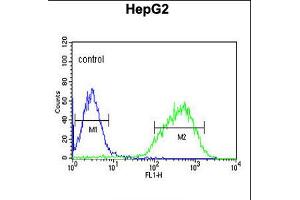 Flow cytometric analysis of HepG2 cells (right histogram) compared to a negative control cell (left histogram). (HIST1H2AL anticorps  (C-Term))