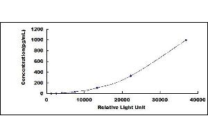 ELISA image for Interleukin 31 (IL31) CLIA Kit (ABIN1081695) (IL-31 Kit CLIA)